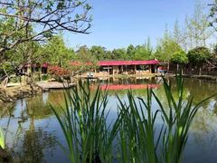 -洪湖家庭农场·团建·露营·会议