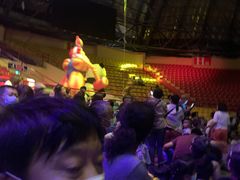 -俄罗斯国家大马戏团