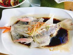 红宝石鱼-聚鲜阁海鲜美食城(香水湾店)
