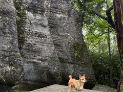 -山王坪喀斯特国家生态公园