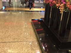 -上海波特曼丽思卡尔顿酒店