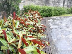 -九龙寨城公园