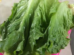 -美兰春记食店·龙舌坡红烧牛肉