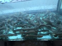 -合家小菜餐馆(新诚花苑店)