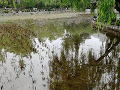 -莲湖公园