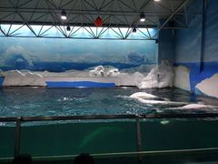 游乐设施-秦皇岛乐岛海洋王国