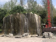 -合肥滨湖国家森林公园