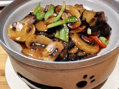 -幸福的烤包子·新疆菜