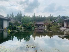 -西湖国宾馆·紫薇厅