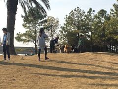 -美兰湖景区