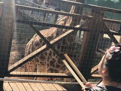 -昆明动物园