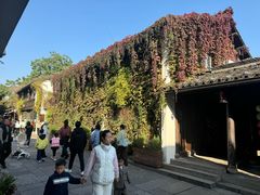 -运河游船(武林门码头)