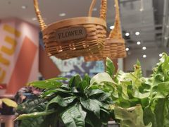 -KKV(重庆光环购物公园店)
