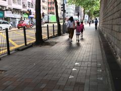 -九龙公园