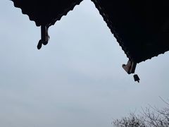 -东湖磨山景区