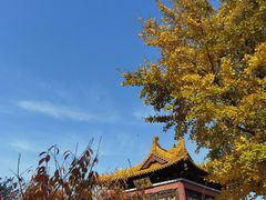 -南京市江宁方山