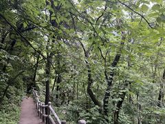 -西安祥峪森林公园
