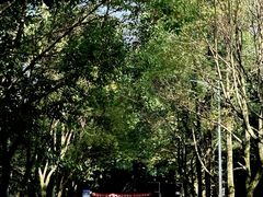 -成都工业学院(郫都校区)