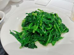 酒香豆苗-老吉士酒家(天平路店)