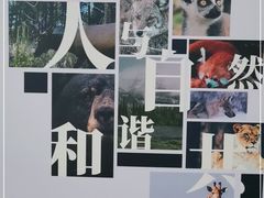-正佳自然科学博物馆