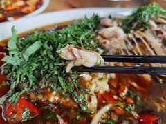 -老字号怡玺·藿香雅鱼(20年雅安店)