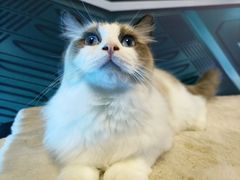 -零纪元VR体验馆·桌游(黄浦店)