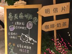 -猫的天空之城概念书店(苏州诚品店)