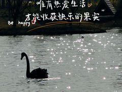 -祥源·阜阳生态乐园