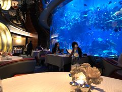 -迪拜帆船酒店海底餐厅