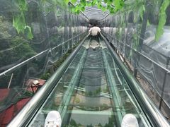 -牛鱼嘴原始生态风景区