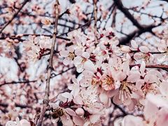 -唐城墙遗址公园