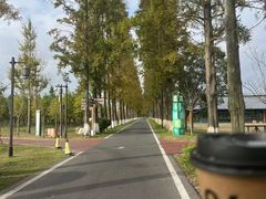 -黄海国家森林公园