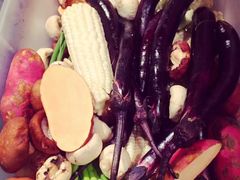 -崇明东平国家森林公园烧烤房车露营地