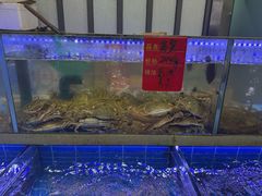 -金海湾海鲜排档(朱家尖店)