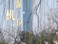 -团结湖公园