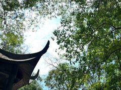 -江心屿景区