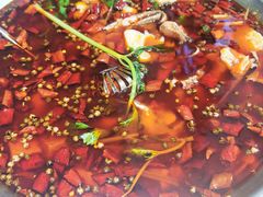 -蛙一刀·麻椒鱼火锅(金仙桥店)