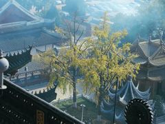 -上海东林寺(金山区)