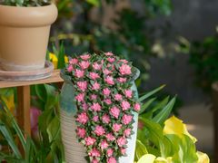 -北马山庄植趣咖啡