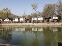 -尚庄度假村·庭台树下·户外烧烤·团建CS·轰趴营地(上庄水库店)