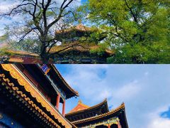 -北京国子监胡同