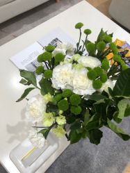 -HEYAN长风荷妍专业脱毛美肤
