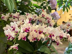 -花二家·生活馆(六运小区店)