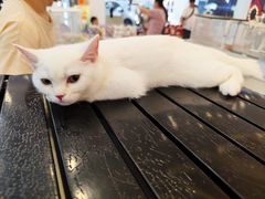 -万达广场(大明宫店)