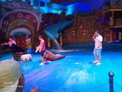 -烟台海昌鲸鲨海洋公园