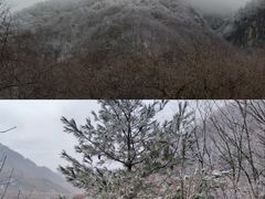 -秦岭风景区