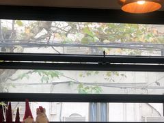 -TonTon(永康路店)