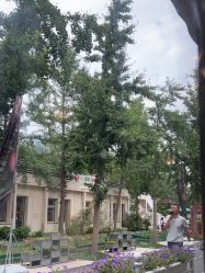 -爱儿美儿童摄影亲子馆(五路居店)