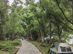 -东湖落雁景区