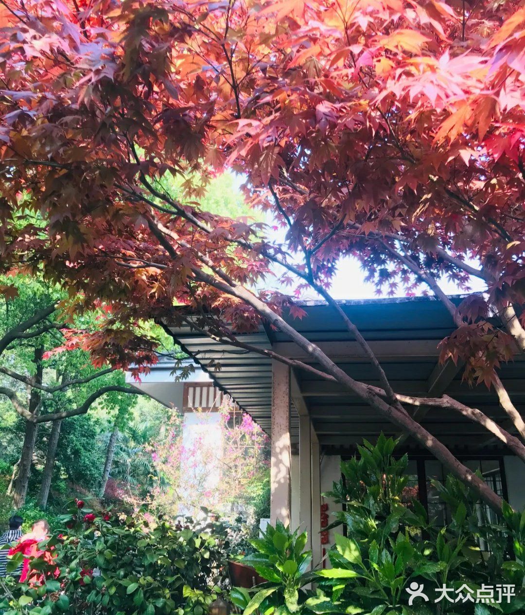 原生态乐园🌈，快带孩子来玩🌞。